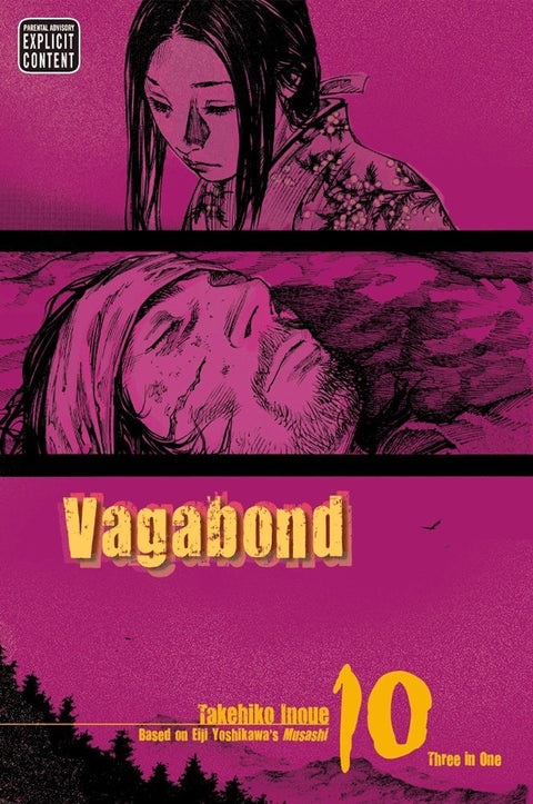Vagabond Viz Big Edition Vol.10 (Ed. em Inglês)