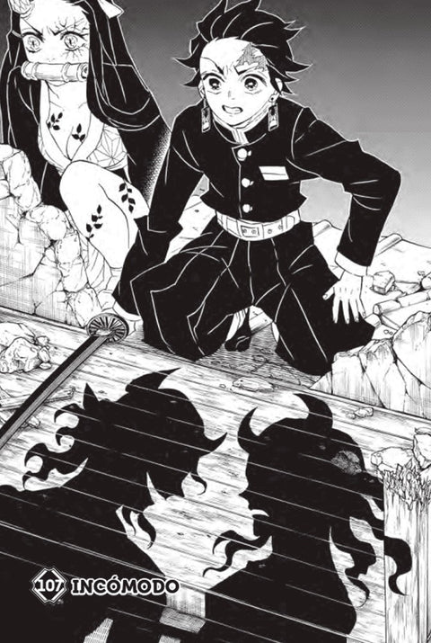 Demon Slayer - Kimetsu No Yaiba vol.13 (Ed. Portuguesa)