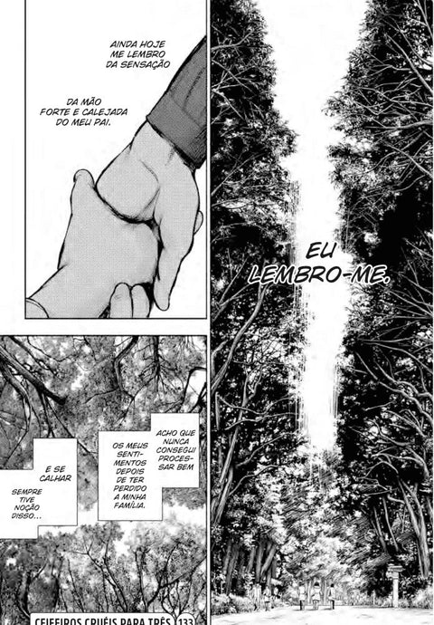 Tokyo Ghoul Re: vol.13 (Ed. Portuguesa)