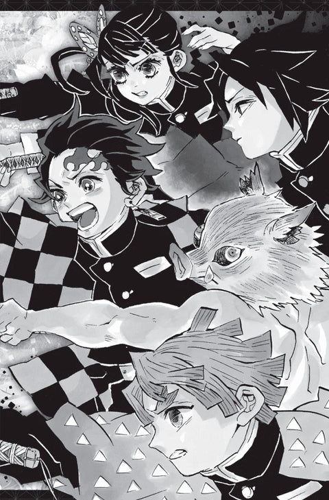 Demon Slayer - Kimetsu No Yaiba vol.18 (Ed. Portuguesa)