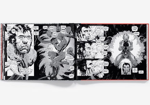 Frank Miller's Ronin Rising Coll. Edition HC