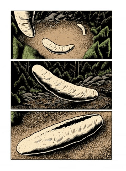 Laberintos Vol.02, de Charles Burns (Ed. em Castelhano)