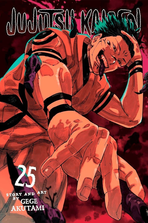 Jujutsu Kaisen Vol.25 (Viz Media)