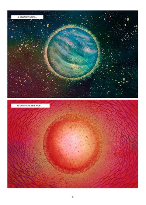 O Fogo, de David Rubin (Ed.Portuguesa, Capa Dura)