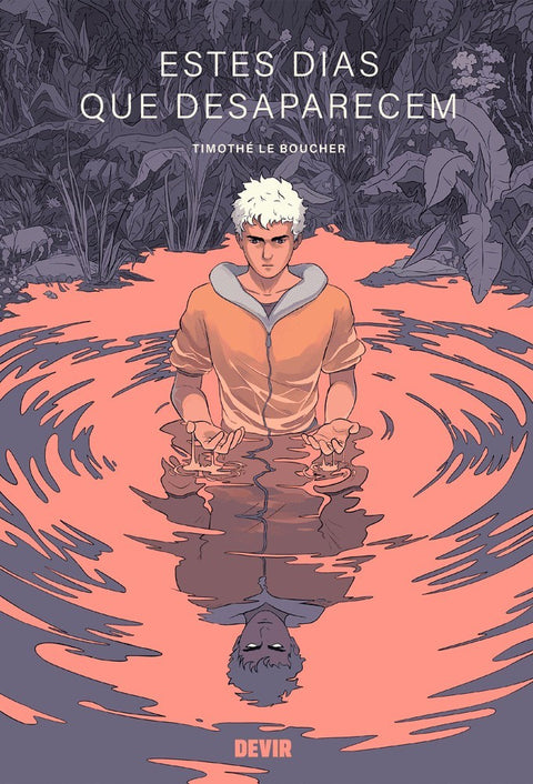 Estes Dias Que Desaparecem, de Timothé Le Boucher (Ed. Portuguesa, Capa Dura)