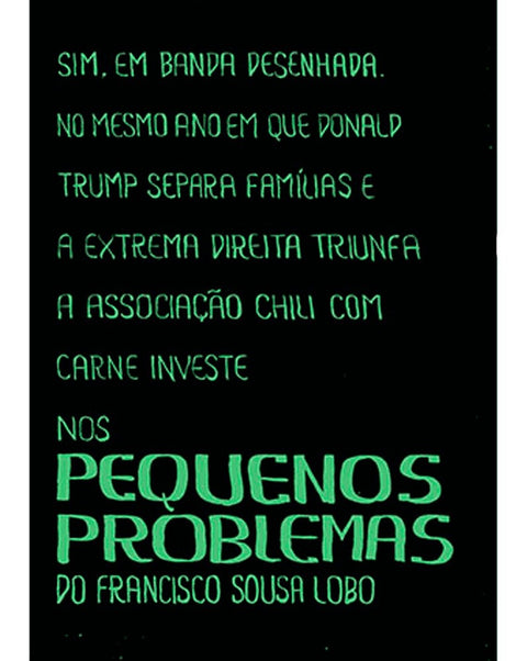 Nos Pequenos Problemas, de Francisco Sousa Lobo