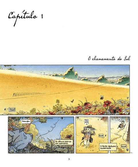 O Vento nas Areias (Ed.Portuguesa)