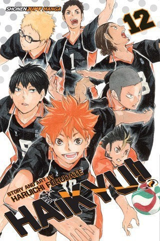 Haikyu!! vol.12