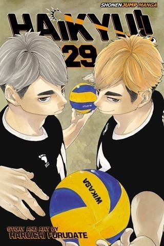 Haikyu!! vol.29