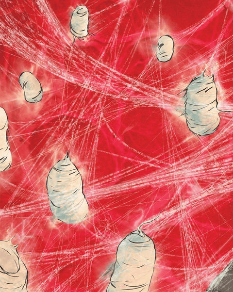 Casulo, Curtas de BD de André Oliveira