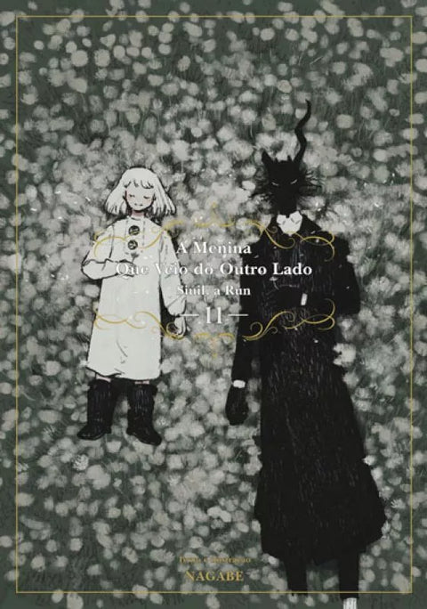 A Menina que Veio do Outro Lado cover image