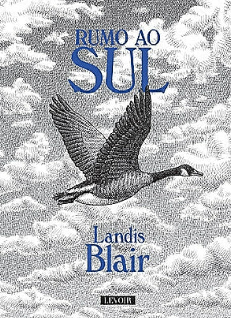 Rumo ao Sul cover image