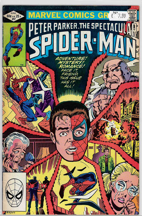 Spectacular Spider-Man (1st Series) #67 FINE+