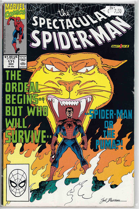 Spectacular Spider-Man (1st Series) #171 FINE+